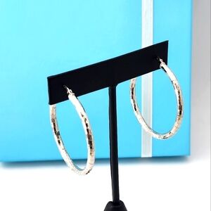 Elegant Silver Hoop Earrings